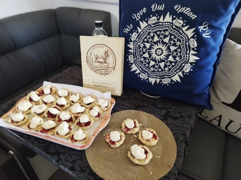 Can I Take an Air Fryer on the Road? – Caravan Cooking Guide