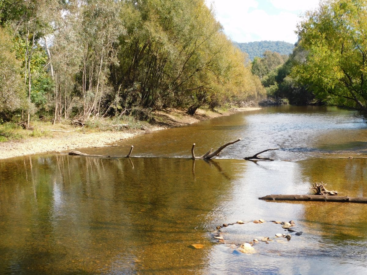 Ovens river flowing through Porepunkah 