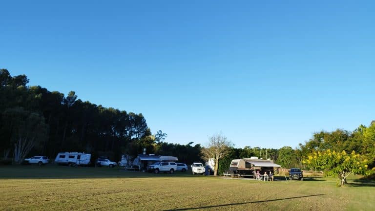 Standown Park Review – Relaxed Camping Bliss in Kia Ora