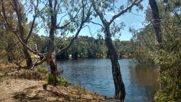 Shire of August Margaret River Calls for Overflow Campsites Amid Camping Crackdown