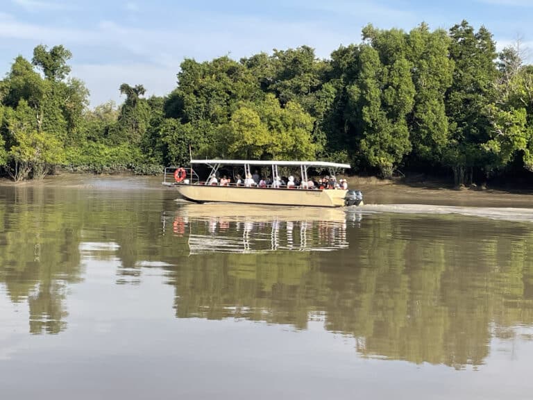 Pathfinder Cruise Review: The Original Adelaide River Jumping Crocodile Cruises