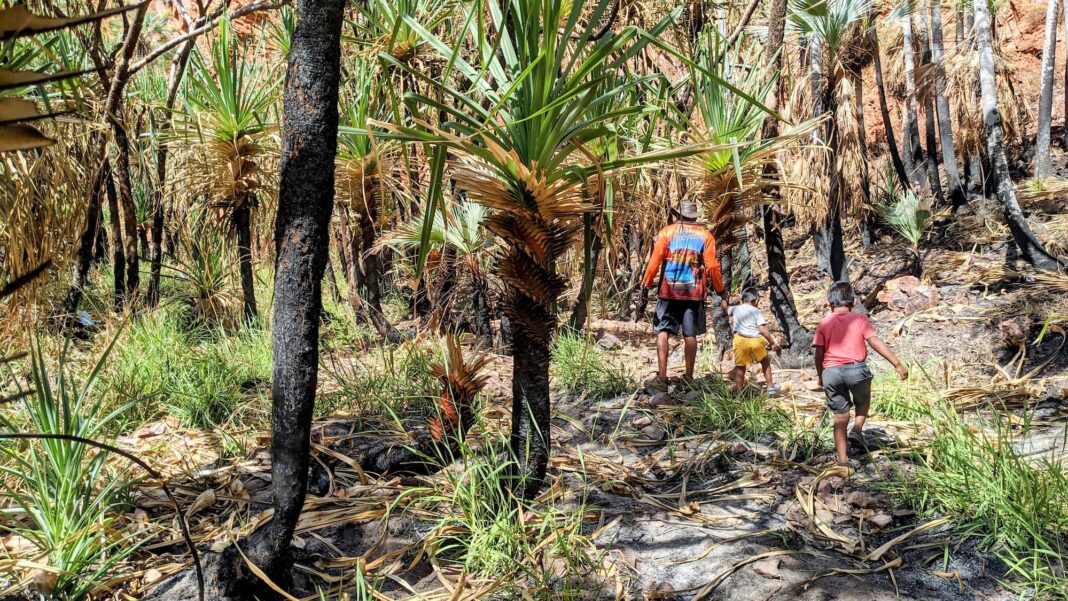 A young family enjoy an afternoon stroll at an iconic Gibb River Road and Great Northern Highway campsite in Durack