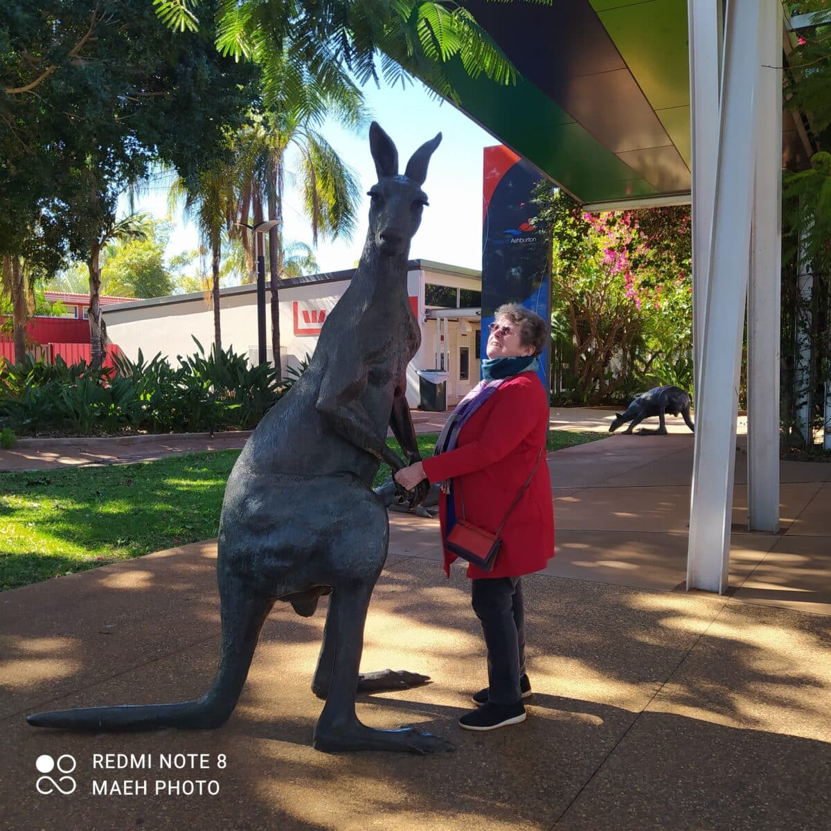 A visitor posing with a large bronze kangaroo statue in the town of Tom Price.