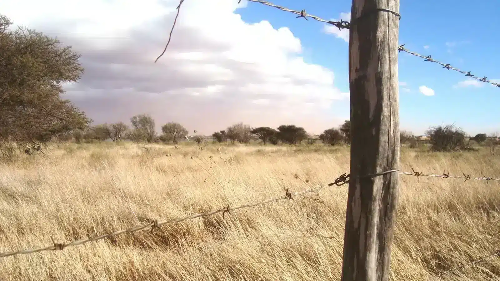 Dry land in australia with fire on the horizon