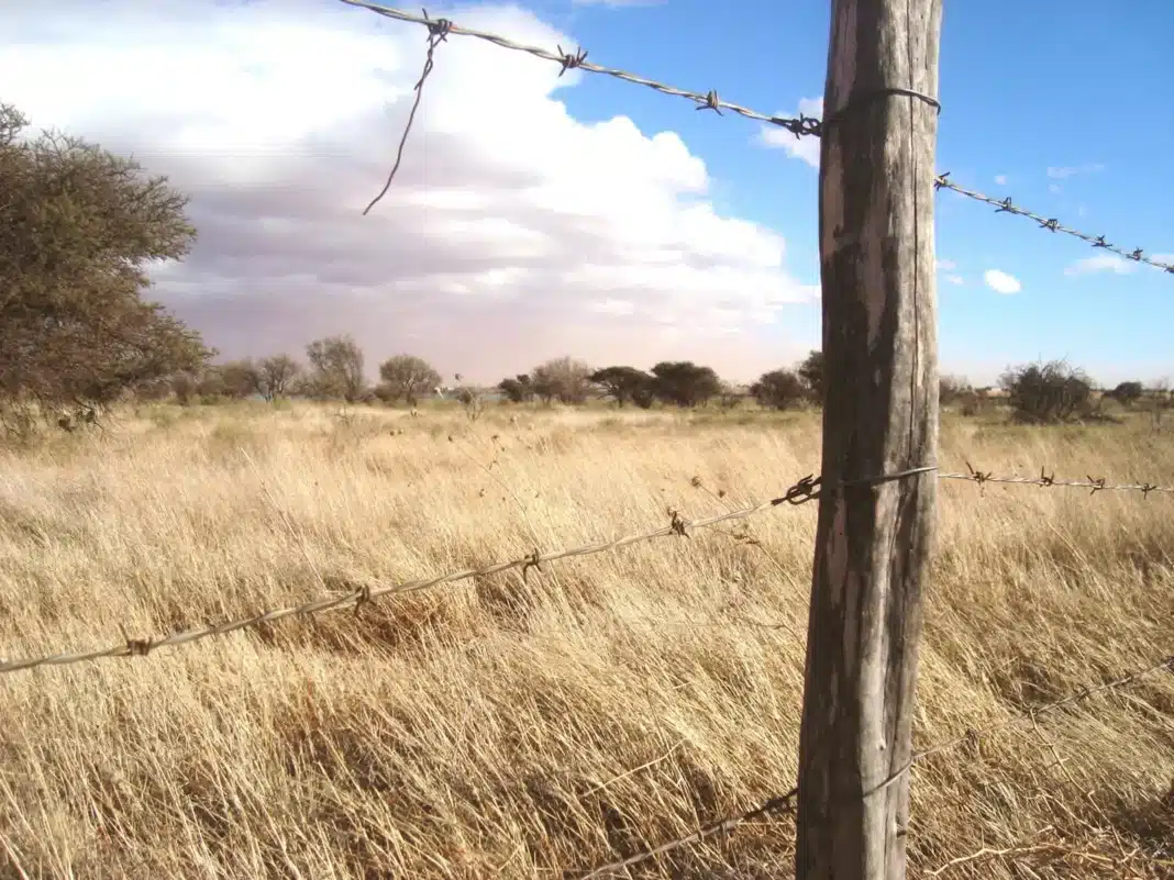 Dry grassland during summer heat in regional Australia.
