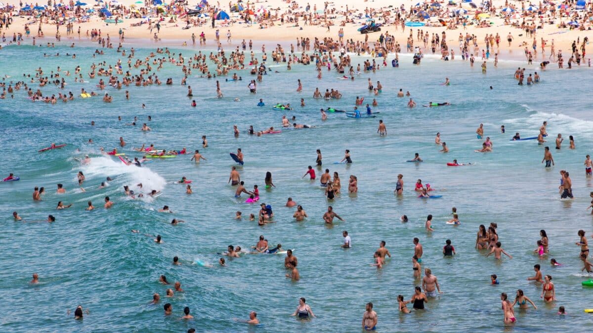 crowded bondi beach during a heat wave