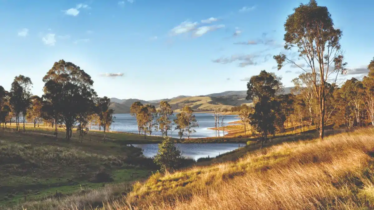 Lake St Clair NSW set among rolling hills and bushland in the Upper Hunter
