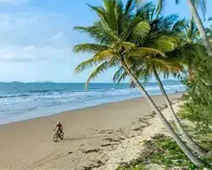 Mission Beach tropical coastline with palm trees in Queensland