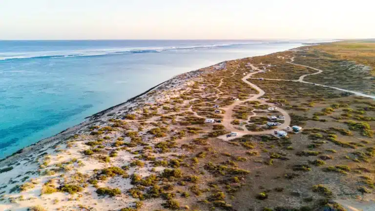 Aerial view of camping areas along Western Australia’s Ningaloo Coast, where a new camping booking trial will begin in 2026.