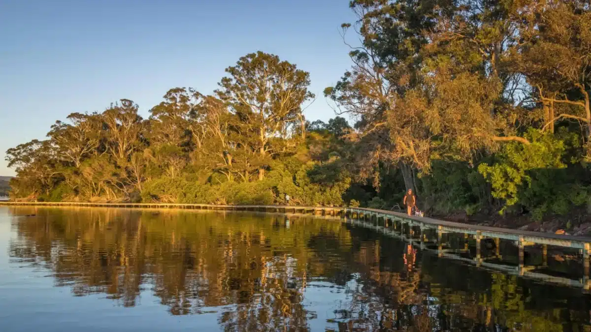 Boardwalk beside calm water surrounded by bushland on the Sapphire Coast at sunset