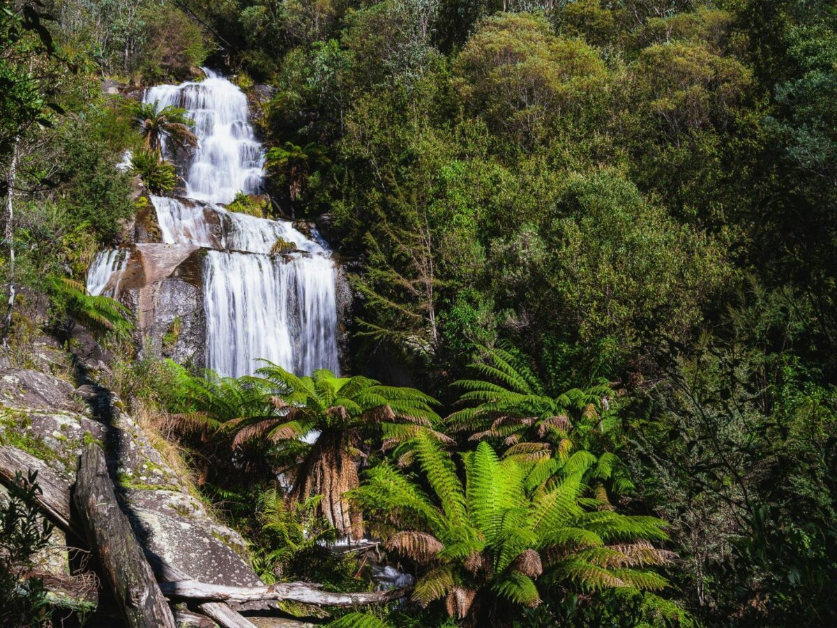 waterfall at mount beauty