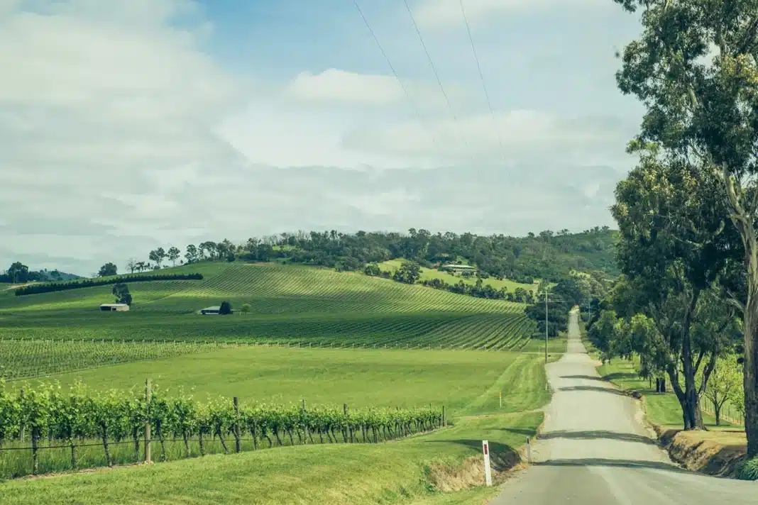 yarra-valley-vineyards-country-road-victoria Quiet regional road through countryside as Australians shift summer travel away from crowded beaches