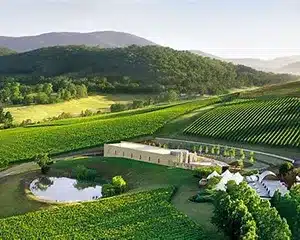 Yarra Valley vineyards and rolling hills with a country road in Victoria