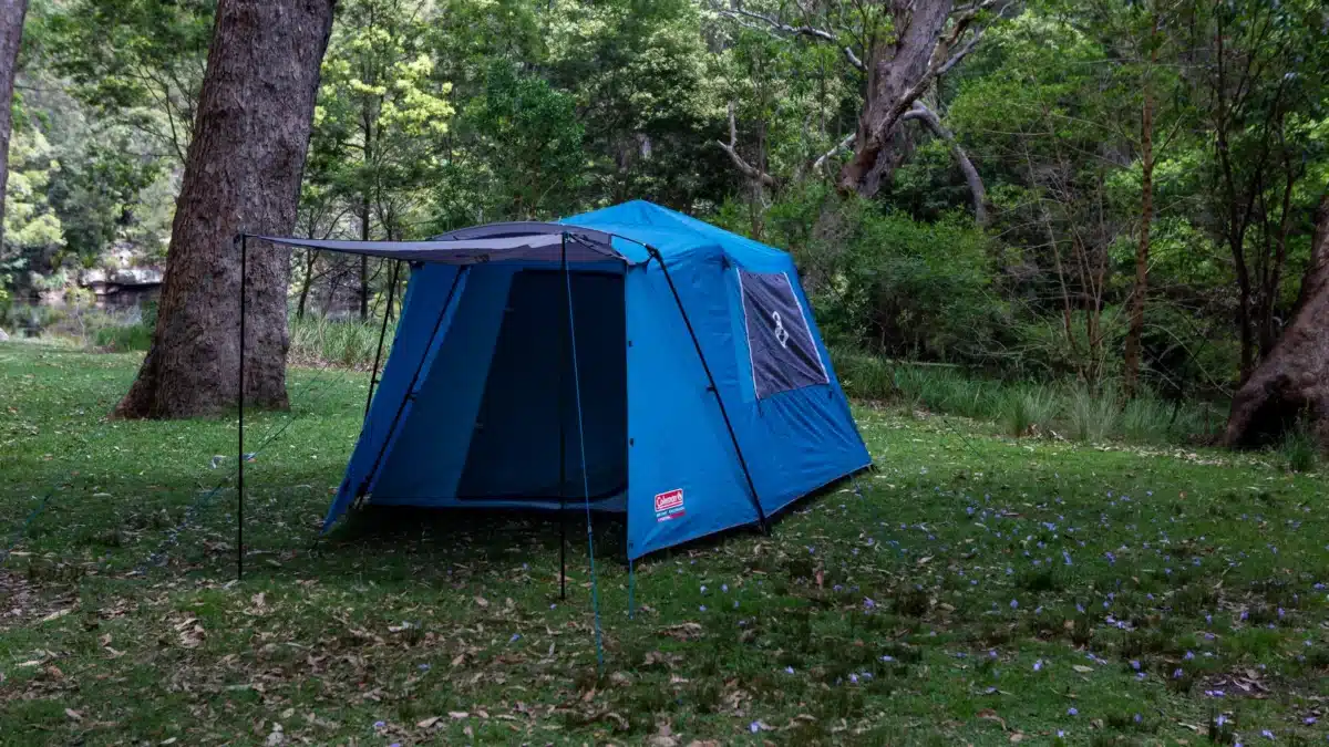 blue tent in forest