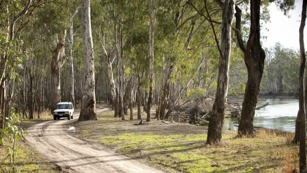 Forest road in the Grampians National Park Victoria