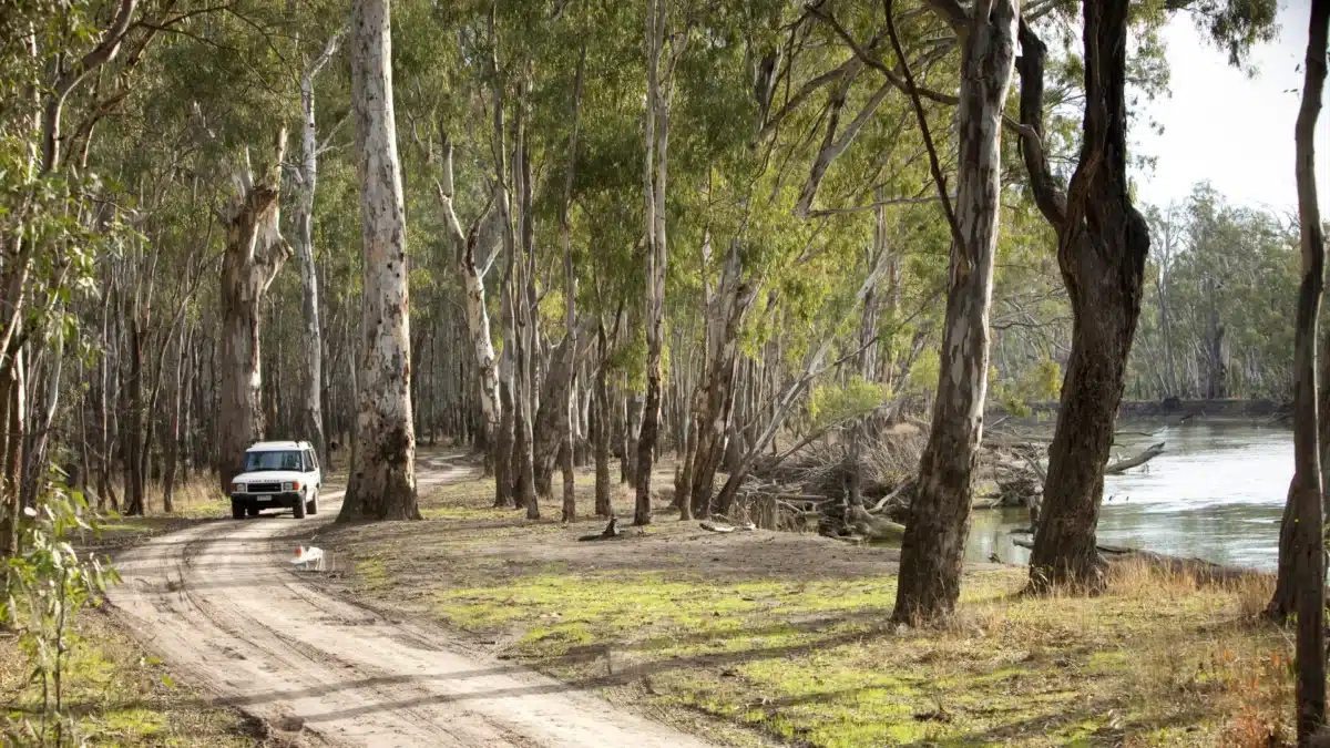 Forest road in the Grampians National Park Victoria
