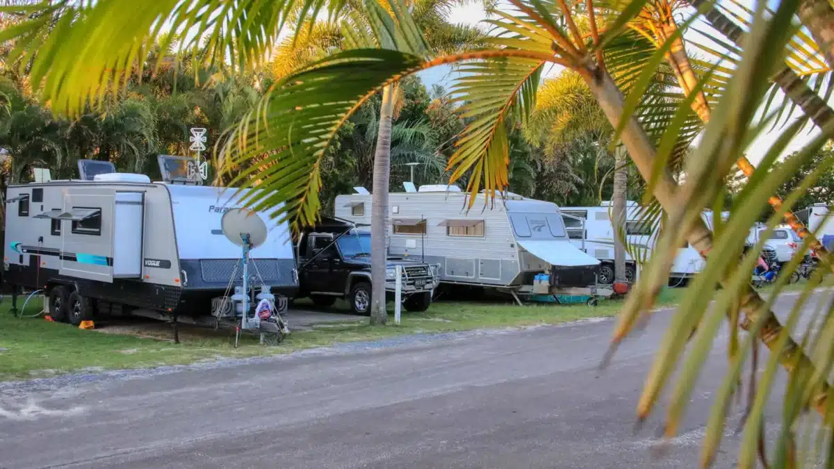 Caravans occupying powered sites at a Sunshine Coast holiday park.