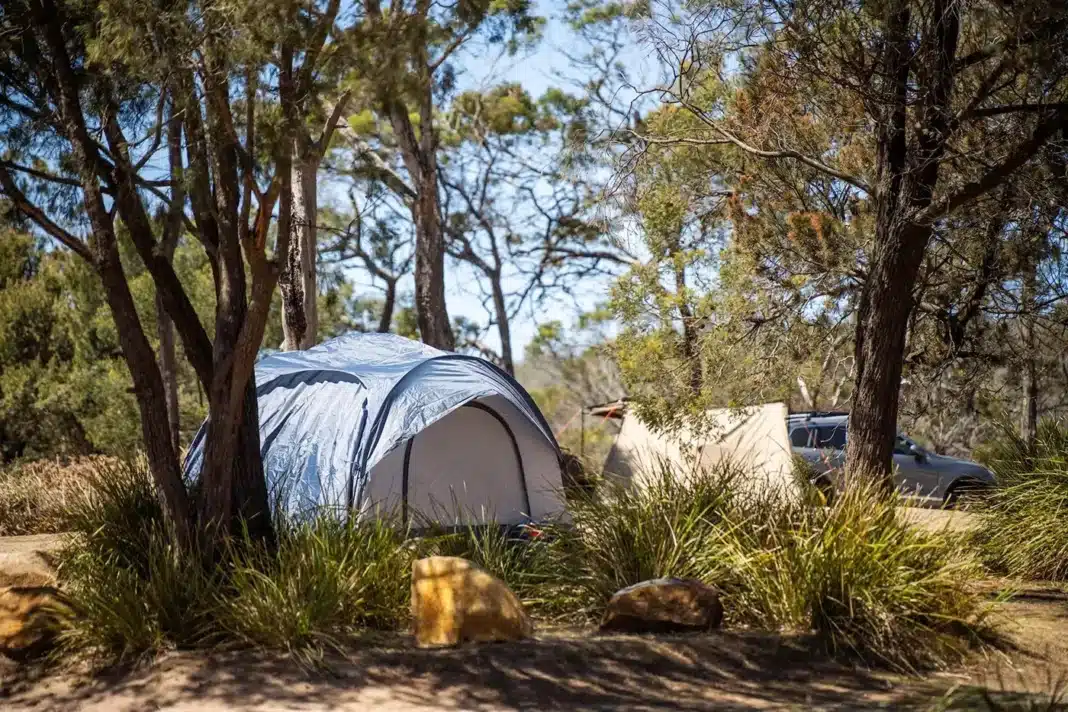 Tent setup at off-grid bush campsite in Australia surrounded by native trees