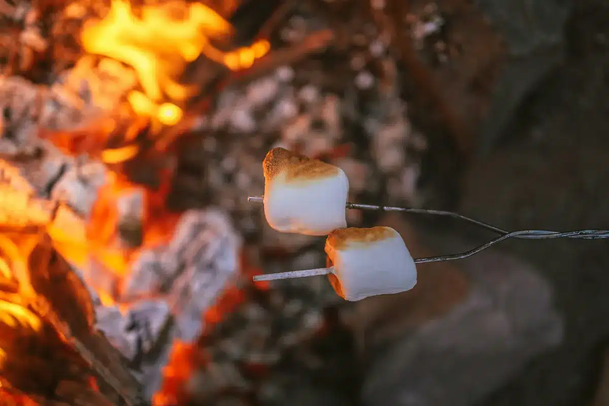 Two marshmallows toasting on metal skewers over glowing campfire coals