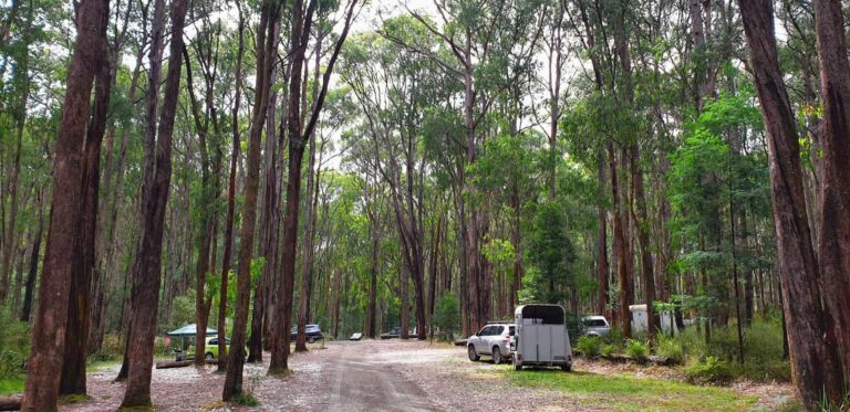 Kurth Kiln Scout Loop Camping: A Bush Stay Worth Knowing About