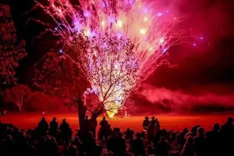 wyangala fire works bonfire 2026 red and pink in the sky