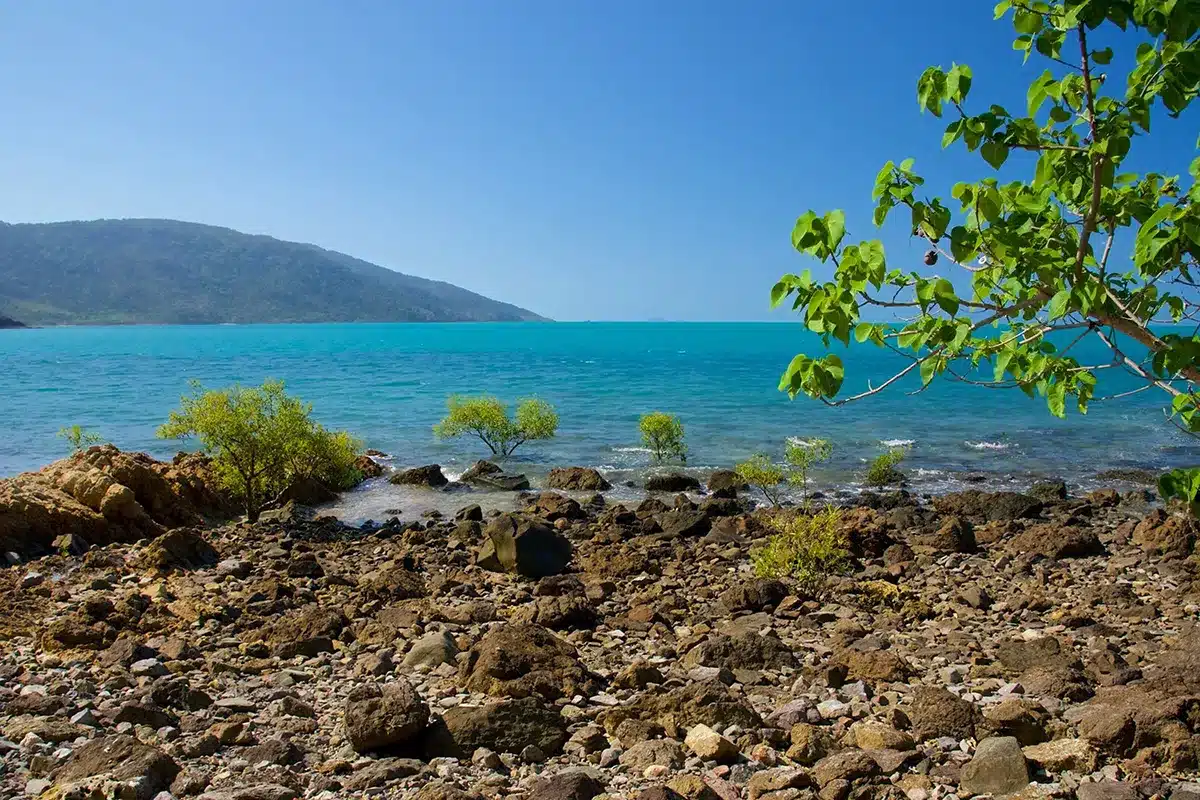 Rocky shoreline and mangroves at Conway National Park, Queensland, with turquoise water and forested hills of the Whitsunday mainland in the background