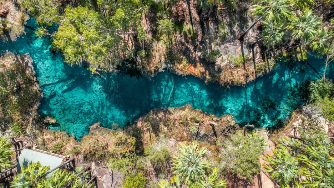 bitter-springs-drone Aerial drone view of Bitter Springs thermal pool winding through Mataranka bushland NT