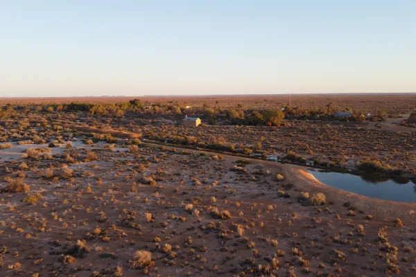 Aerial view of Coward Springs oasis and waterhole in outback South Australia desert