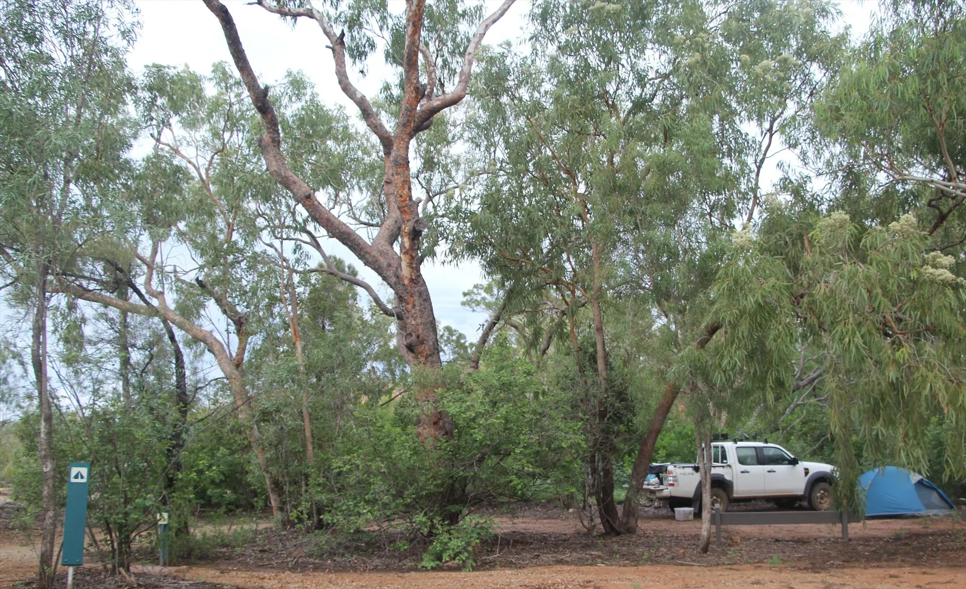 Caravan campsite under shady trees at Lawn Hill Gorge Boodjamulla National Park Queensland