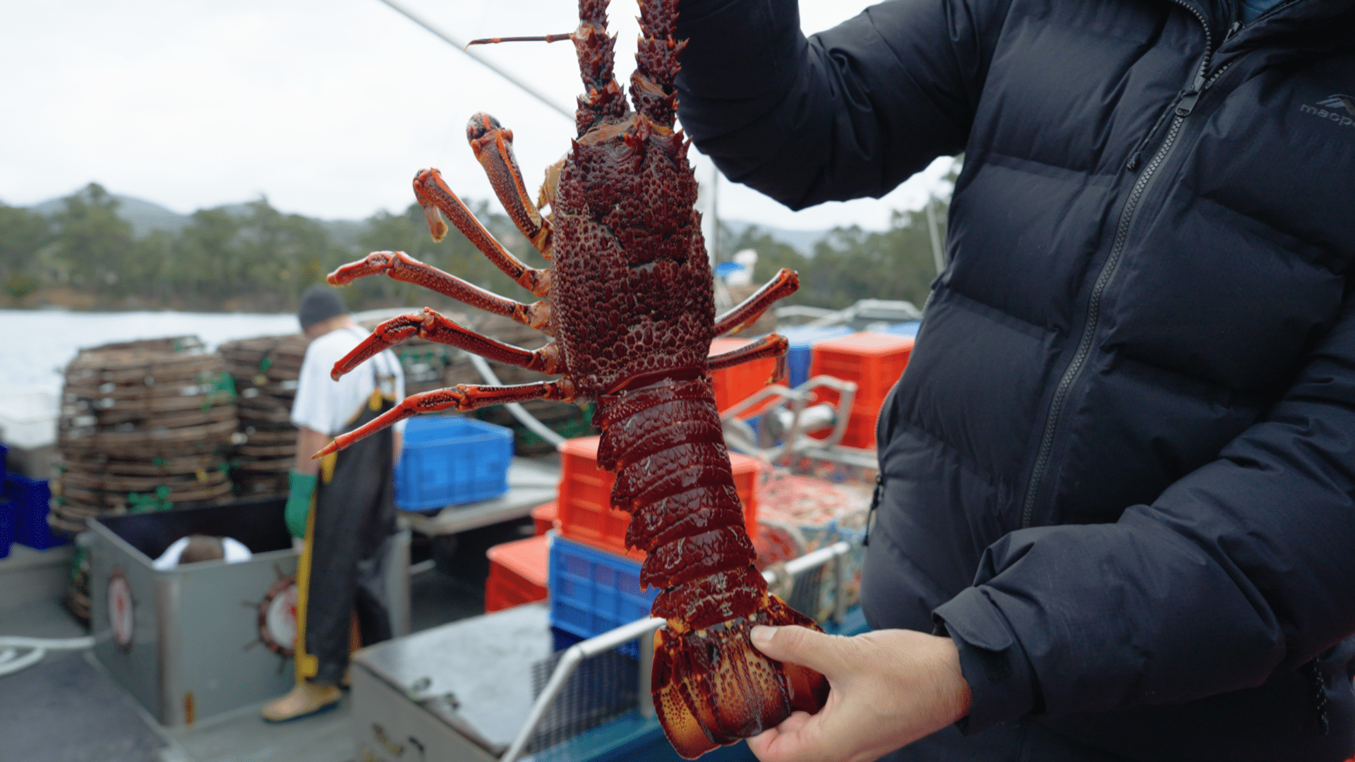Aussie Lobster Hunters
