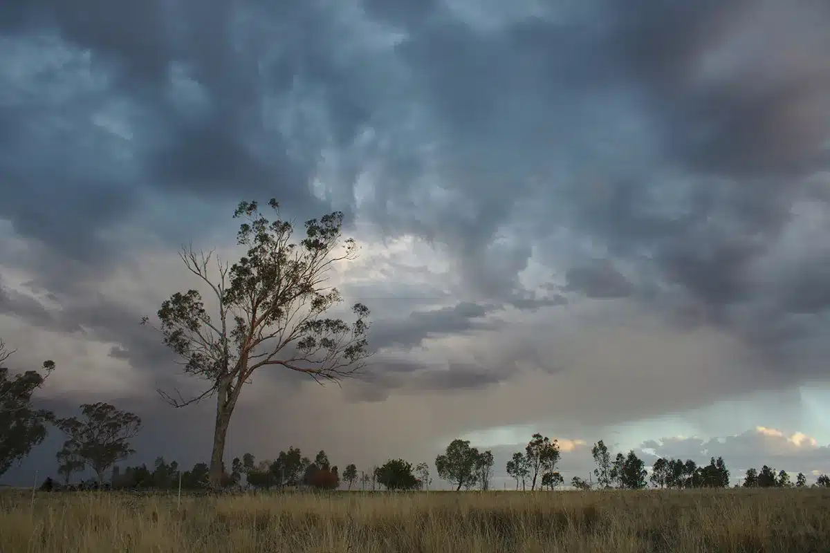 Storm clouds and a rain shaft moving across dry grassland and gum trees in inland Australia during summer storm season