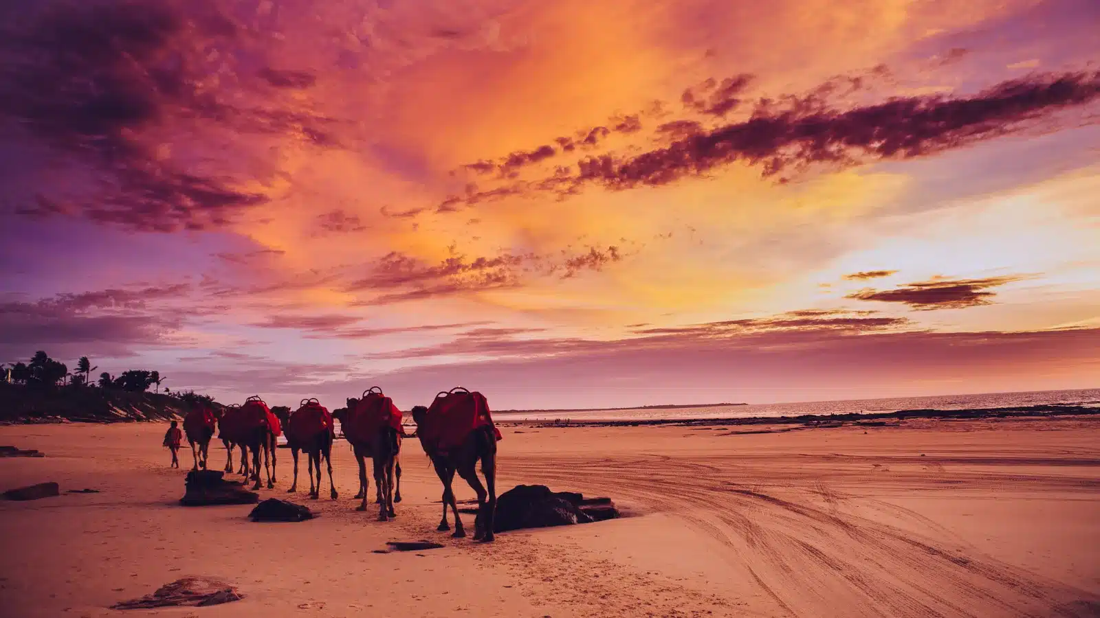 Line of camels with riders walking along Cable Beach in Broome under a red and orange sunset sky
