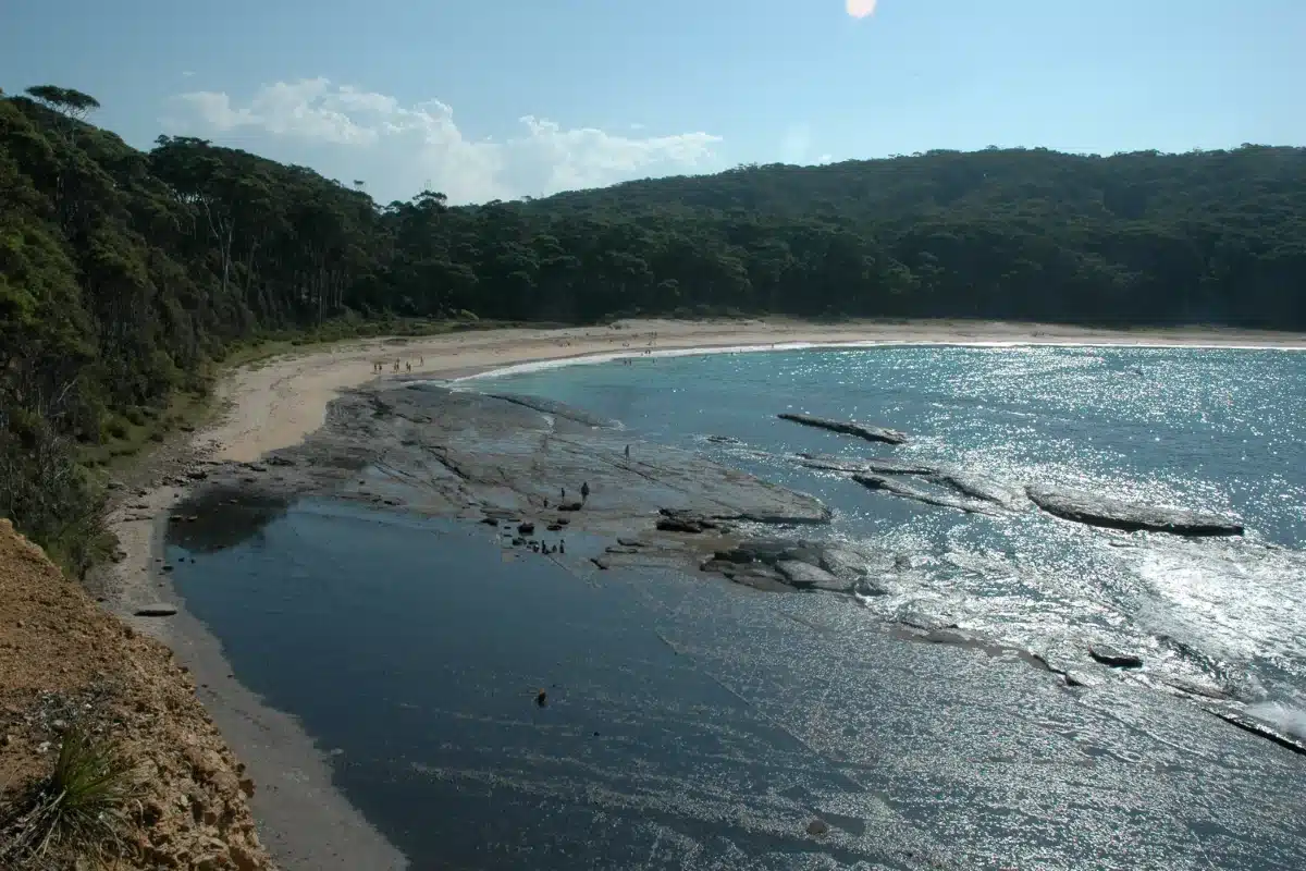 Curving sandy beach and rock platform backed by forest at Depot Beach in Murramarang National Park, New South Wales