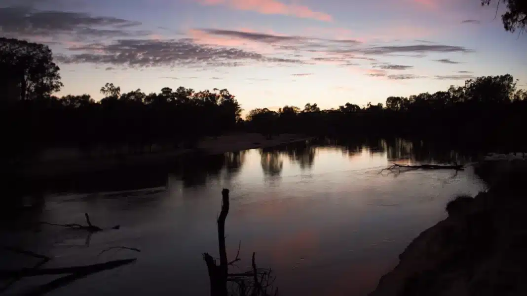 Sunset over the Murray River at Ulupna Island in Barmah National Park, with red gums silhouetted along the bank