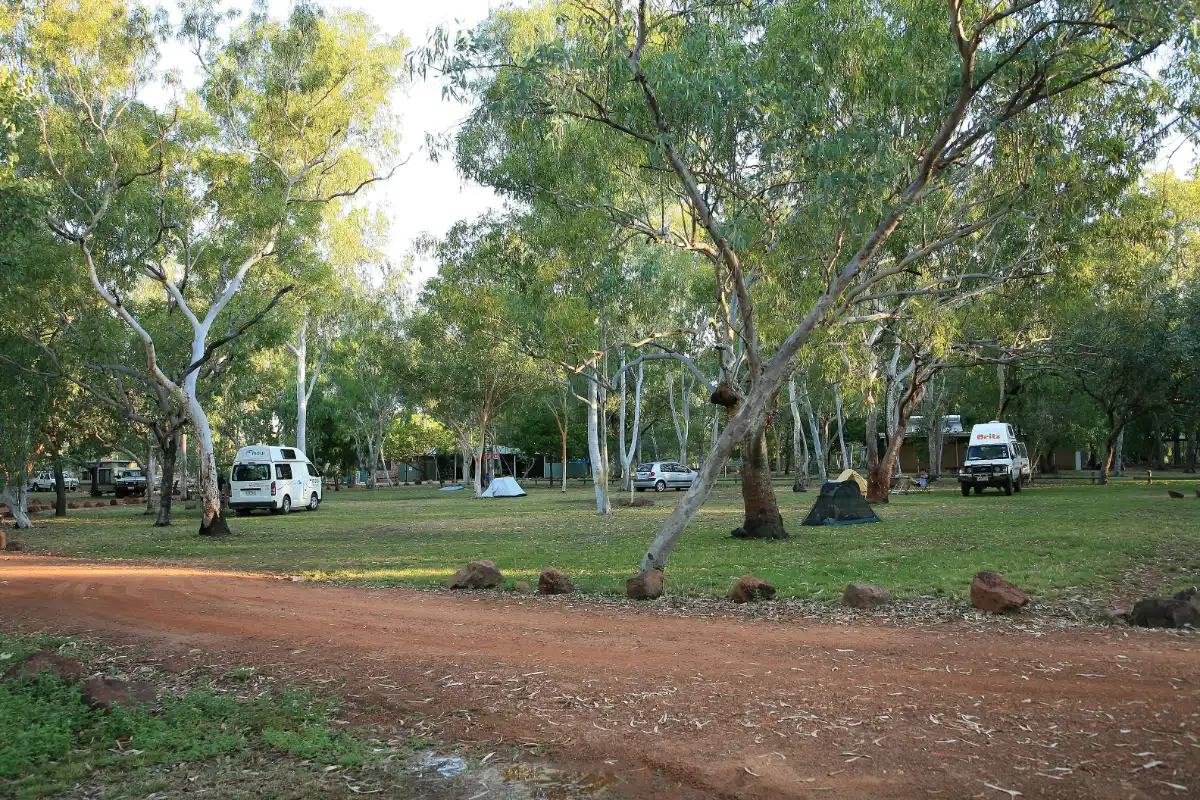Campervans parked under gum trees on the grassy campground at Nitmiluk National Park, Northern Territory