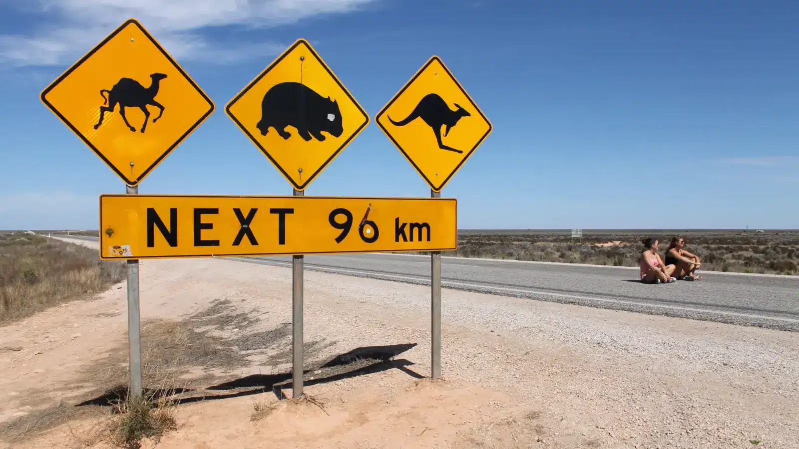 Camel, wombat and kangaroo warning signs marked next 96km beside the Eyre Highway on the Nullarbor Plain
