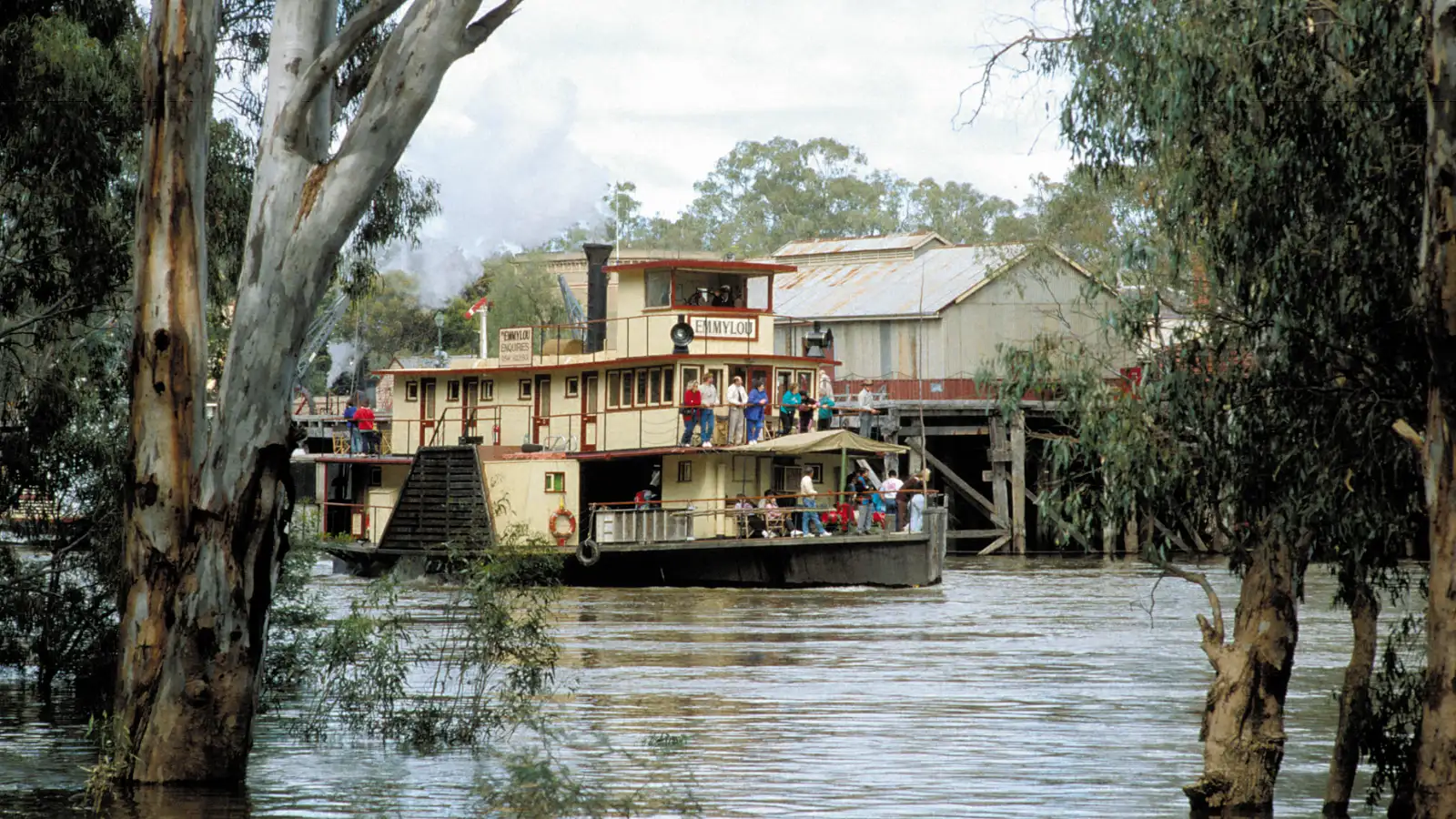 Paddle steamer Emmylou cruising past the old Echuca wharf between river red gums standing in high water
