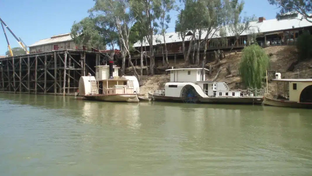 Paddle steamers moored below the tall timber Echuca Wharf on the Murray River, with gum trees on the bank
