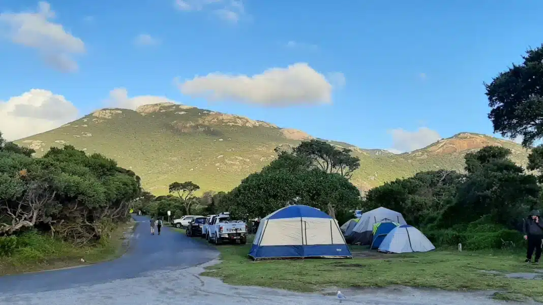 tidal river campground wilsons promontory Tents and cars at the Tidal River campground on Wilsons Promontory, Victoria, below a green hill